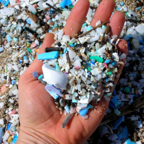 Close up of microplastics found on beach.